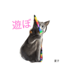 we are lovery cats（個別スタンプ：6）