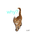 we are lovery cats（個別スタンプ：9）