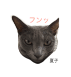 we are lovery cats（個別スタンプ：10）