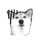 柴犬りぼんちゃん〜自由気まま編〜（個別スタンプ：4）