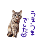 なぎこま①（個別スタンプ：11）