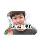 肯定 否定 皇帝（個別スタンプ：1）