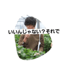 肯定 否定 皇帝（個別スタンプ：3）