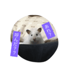 てとてとテトとキキ 1（個別スタンプ：1）