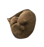 我が家の猫()（個別スタンプ：7）