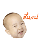 POR stickers（個別スタンプ：4）