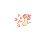 にゃんキノコ（個別スタンプ：1）