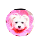 あんあり（個別スタンプ：2）