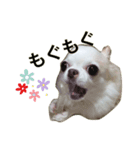 チビすたんぷ。（個別スタンプ：2）