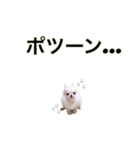 チビすたんぷ。（個別スタンプ：6）