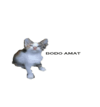 cat cute overload（個別スタンプ：4）