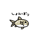 鮭スタンプ1（個別スタンプ：37）