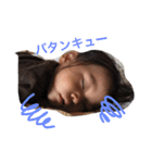 リコ。（個別スタンプ：2）