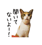 猫のきもち 2（個別スタンプ：18）