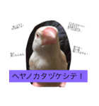 クリーム文鳥の戯言（個別スタンプ：6）