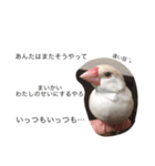 クリーム文鳥の戯言（個別スタンプ：14）