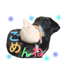 ＊My pet's pert 2＊（個別スタンプ：9）