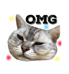 ＊My pet's pert 2＊（個別スタンプ：16）