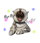 ＊My pet's pert 2＊（個別スタンプ：19）