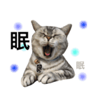 ＊My pet's pert 2＊（個別スタンプ：20）