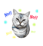 ＊My pet's pert 2＊（個別スタンプ：21）