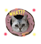 ＊My pet's pert 2＊（個別スタンプ：22）