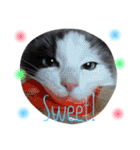 ＊My pet's pert 2＊（個別スタンプ：28）