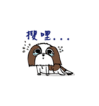 belial family（個別スタンプ：21）