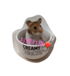 ゴールデンハムスターふぅ＆みぅ＆ベヒハム（個別スタンプ：13）
