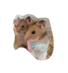 ゴールデンハムスターふぅ＆みぅ＆ベヒハム（個別スタンプ：17）