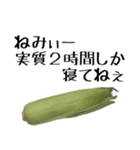 トウモロコシの夏（個別スタンプ：4）