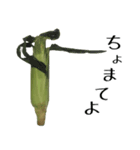トウモロコシの夏（個別スタンプ：7）