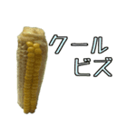 トウモロコシの夏（個別スタンプ：25）
