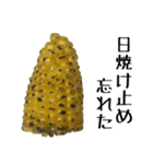 トウモロコシの夏（個別スタンプ：27）