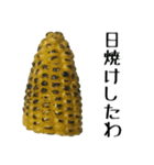 トウモロコシの夏（個別スタンプ：28）