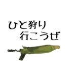 トウモロコシの夏（個別スタンプ：39）
