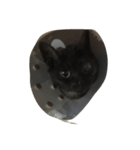 我が家の猫（アリスちゃん）（個別スタンプ：1）