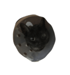 我が家の猫（アリスちゃん）（個別スタンプ：2）