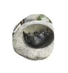 我が家の猫（アリスちゃん）（個別スタンプ：6）