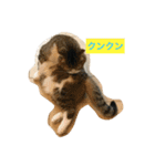 桜田家のねこ（個別スタンプ：2）