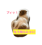 桜田家のねこ（個別スタンプ：12）