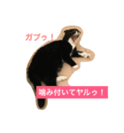 桜田家のねこ（個別スタンプ：16）