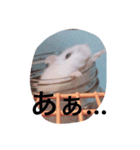 ハムの生活その1（個別スタンプ：7）