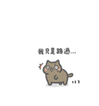 Ameow-cat daily series（個別スタンプ：35）