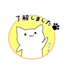 わくねこ（個別スタンプ：1）