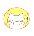 わくねこ（個別スタンプ：20）