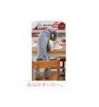 りぶらふ 2（個別スタンプ：8）