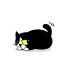 ハチワレ猫のマーク（個別スタンプ：25）