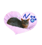 猫と鳥の smile life ！！（個別スタンプ：6）