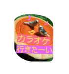 猫と鳥の smile life ！！（個別スタンプ：14）
